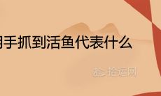 做梦抓到鲜活鱼,寓意及象征解析有哪些?