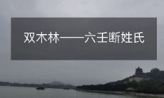 双木林中的奥秘:六壬预测法能够断定姓氏?