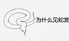 为何拥有蛇见财不断:探究见蛇后导致财富大幅增长的原因