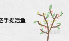 女性在梦中亲手捉住活鱼的象征意义和心理解读是什么?