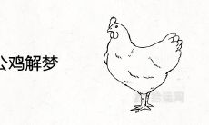 七彩大公鸡出现在梦中的征兆以及解读,你必须知道