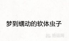 做梦见蠕动的软体虫子是否暗示了什么不祥的征兆?