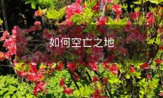 中生存：探索荒芜之地的生存要诀