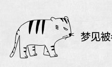 女性梦见逃避老虎追逐的意义:探究潜意识中的信念及情感暗示