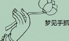 关于梦见手抓鱼和发财的真实性,是否可信?