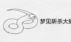 梦见斩杀大蛇：探究其吉凶预兆以及隐含的象征意义是什么？