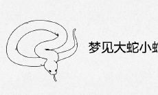 在梦中看到地上爬满大蛇小蛇,这意味着什么?