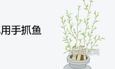 做梦被抓鱼:解读已婚女性不同寓意与情绪状态