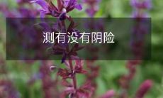 如何进行行为测量以揭示个体是否具备阴险性格的特征?