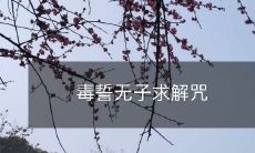 借助神秘咒语与咒毒消除病根,追求子嗣的无望人们寻求解救之途