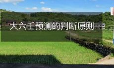 通过大六壬预测未来的判断原则及其应用方法探析