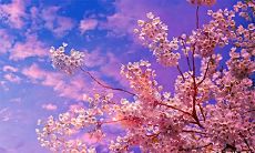 预测:2023年农历十一月的黄道吉日可能会为人们带来何种机遇和收获?