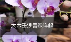 全面解析大六壬涉害课，深入探讨该课的相关知识和技巧