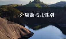 通过非侵入性外应断胎技术实现胎儿性别的准确鉴定和筛查