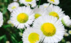 详解观音灵签第20签的签语涵义,揭示其中蕴含的深刻哲理与智慧境界