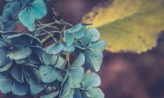 「观音灵签第22签签语的深意揭示:从悲观中汲取信仰之泉,勇敢面对人生挑战」