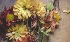 探究观音灵签第19签所表达的签语和此签的深层含义