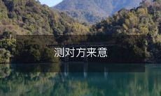 使用有效策略来准确探测他人的意图和动机