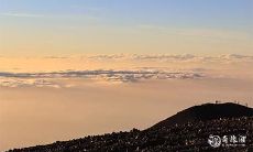 “本命年的起点竟患病!”——来自一个本命年人的启示录