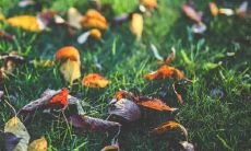 命运是否会随着算命次数增加而变得更不利?若经过多次算命而发现命运不佳,那么“好命经不住三算”这句话的寓意是什么?