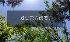 意识到自己所处的现实与虚幻之间的差距