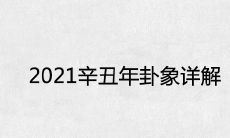 2021年辛丑年度卦象分析全面剖析