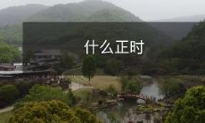 代码是什么？它的特点和作用是什么？