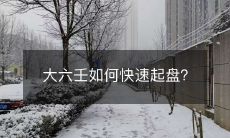 掌握大六壬的启盘技巧,助您快速开局!