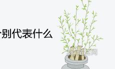 探究易经数字1到9的吉利旺财含义:详解每个数字的代表意义