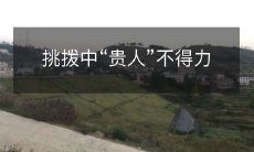 社交媒体上的挑拨行为导致名人和精英遭受严重打击,失去价值