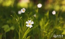 的全国性春季运动会预计将于何时开幕?