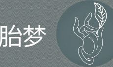 哪些梦境可能预示着即将怀孕?