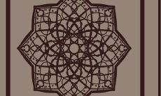 关于属虎和属猫八字的合盘是否合适,古代文化中的传统说法和现代观点有何异同?