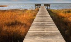 做梦梦见自己曾游历阴间,是否具有某种预示性意义?