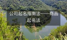 如何在进行公司命名时运用商品起名法:一份指南