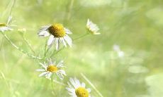 如何查询2023年农历十月凶日与破日信息？