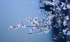 本命年第一天出现感冒症状,如何自我调理和护理?需要注意哪些事项以避免病情恶化?