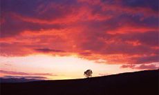 通过手相识别贵人纹,了解你深藏的贵人在何处注目你