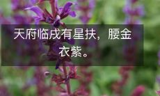 天府之地现有神耀星辉相助,身披腰带金甲紫衣华丽绝伦