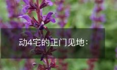 四个宅男对娱乐圈的深度评价和建议：他们的观点会让你看待综艺与偶像产业完全不同！