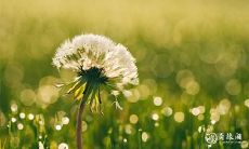 如何查询2023年农历八月凶日破日?