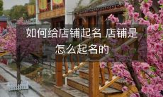 探究店铺命名的奥秘:如何给你的店铺起一个恰当的名字?