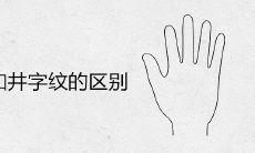 了解格子纹和井字纹之间的差别:它们在设计中的应用场景及风格特点的区别