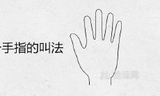 探索手相学:深入了解五个手指的名称与象征含义