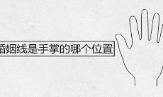 女性婚姻线位于手掌的哪个位置?探究手相学中的婚姻线指向何处?