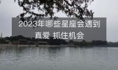 2023年哪些星座将迎来人生中最完美的真爱之缘，不容错过这个珍贵机会！