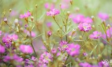 如何进行2023年农历五月的破日与凶日查询?