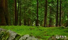 如何查询2023年农历四月的凶日和破日？