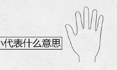 女性手掌尺寸较小的象征与含义是什么？