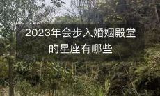 2023年，哪些星座会走进婚姻的殿堂呢？